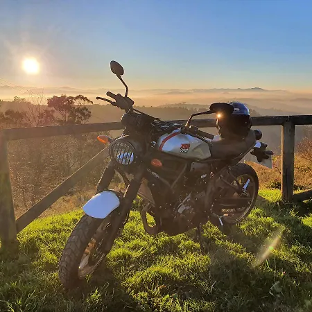 Life Magenta 3* ヒホン