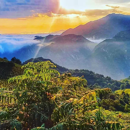 Life Magenta ホテル ヒホン