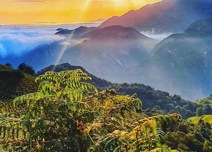 Life Magenta Szálloda Gijón