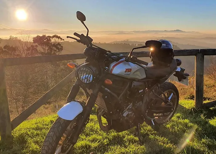 Life Magenta 3* Gijón